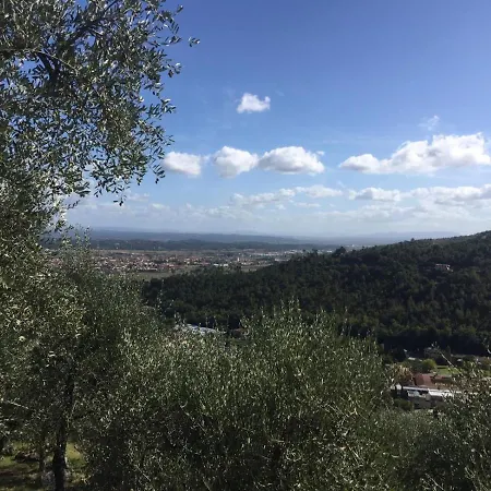 Casale L'oliveta